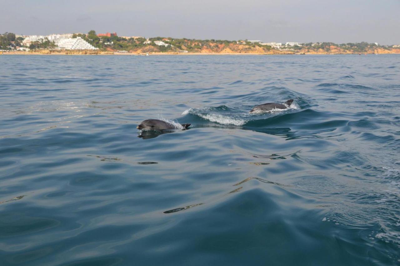 Apartamentos Carruna Albufeira Zewnętrze zdjęcie